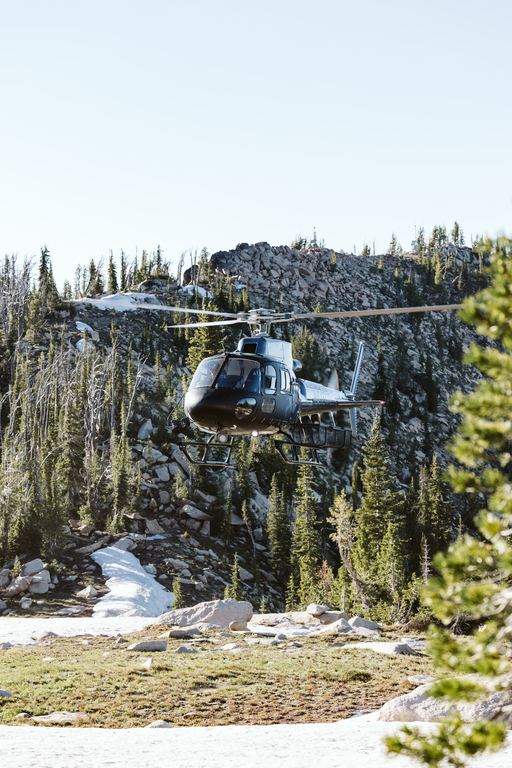 Veterinary Telemetry Game Survey & Capture | Base Camp Aviation